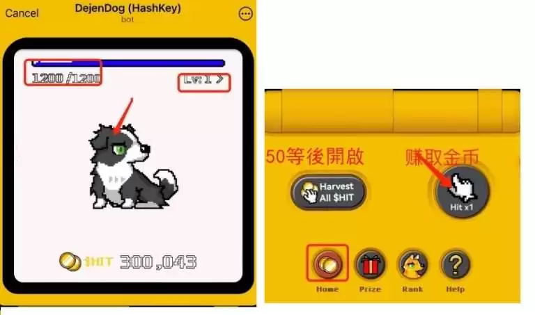 HashKey(HSK)是什么?未来前景如何?可能能涨到多少?