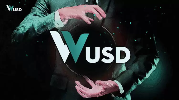 WUSD币:引领数字金融新时代的稳定币