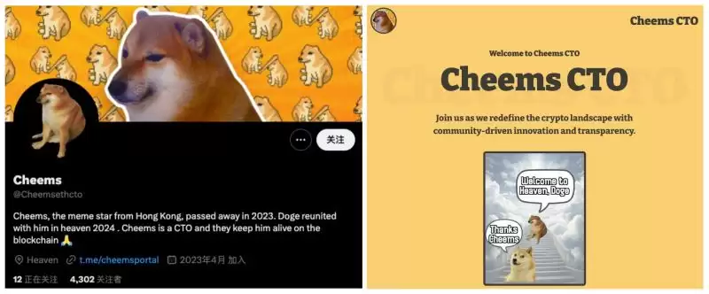 meme今天炒什么？SHIBA原型狗meme一天暴涨50倍,以太坊上演百狗狂吠潮