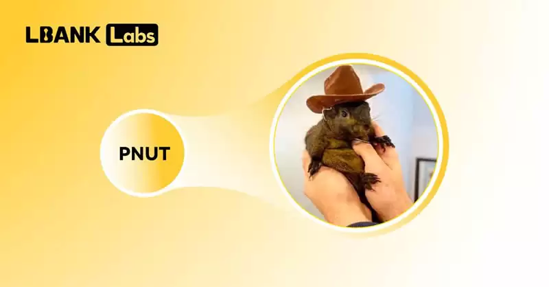 十大Meme币有哪些？盘点2025年10大热门Meme币