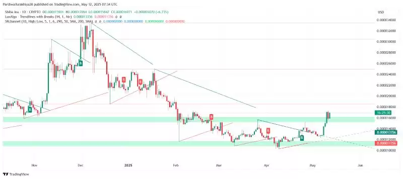 SHIB今日价格预测:BTC达到12.5万美元,SHIB能达到0.0001美元吗?