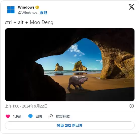 MOODENG迷因币是什么? MOODENG币未来价格及投资教学