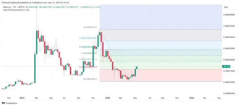 SHIB今日价格预测:BTC达到12.5万美元,SHIB能达到0.0001美元吗?