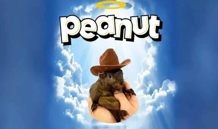 PNUT币未来价格如何？2025-2030年PNUT币价格预测