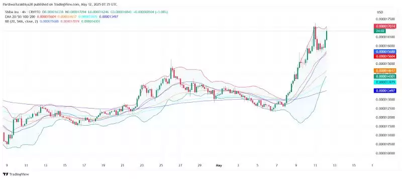 SHIB今日价格预测:BTC达到12.5万美元,SHIB能达到0.0001美元吗?
