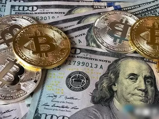 美国税务律师解读:川普胜选比比特币投资人如何报税