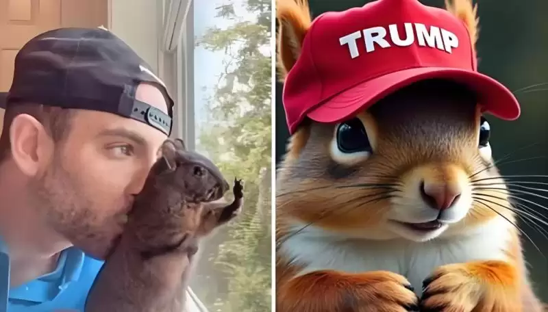 PNUT币马上会涨到100元吗？详解PNUT币值得投资吗？