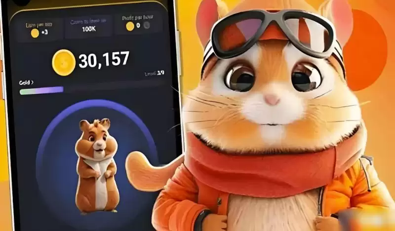 HMSTR币合约地址是多少？HMSTR币还值得购买吗？