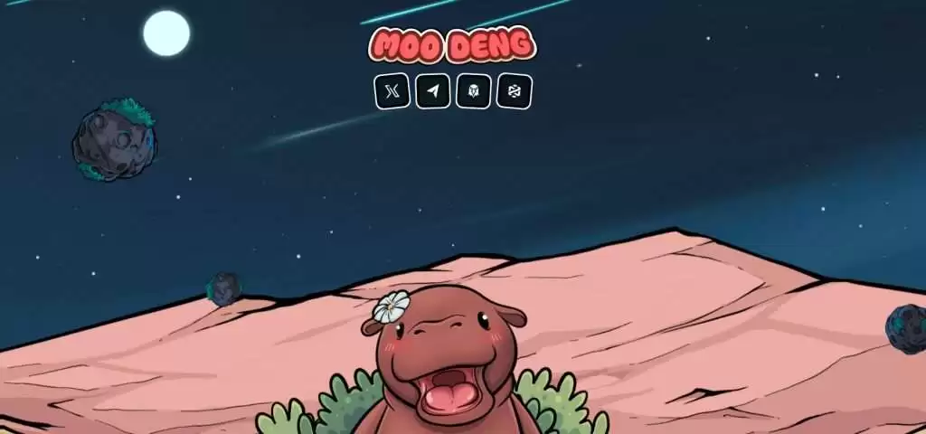 MOODENG迷因币是什么? MOODENG币未来价格及投资教学