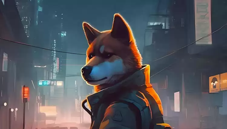 AIDOGE币会成为百倍币吗？有前景吗？