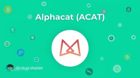ACAT币投资价值分析