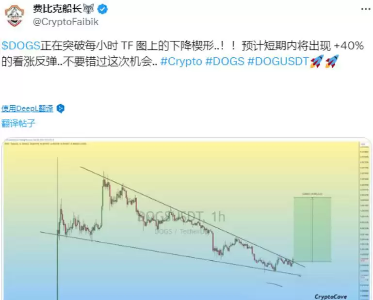 DOGS币怎么样?未来潜力如何?值得长期持有吗?未来价格如何?