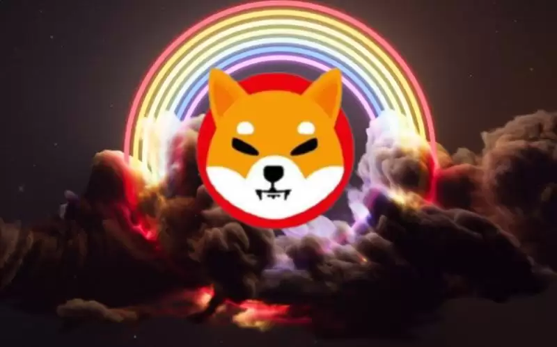 SHIB近期价格分析:价格预测上涨101%,达到0.000048美元