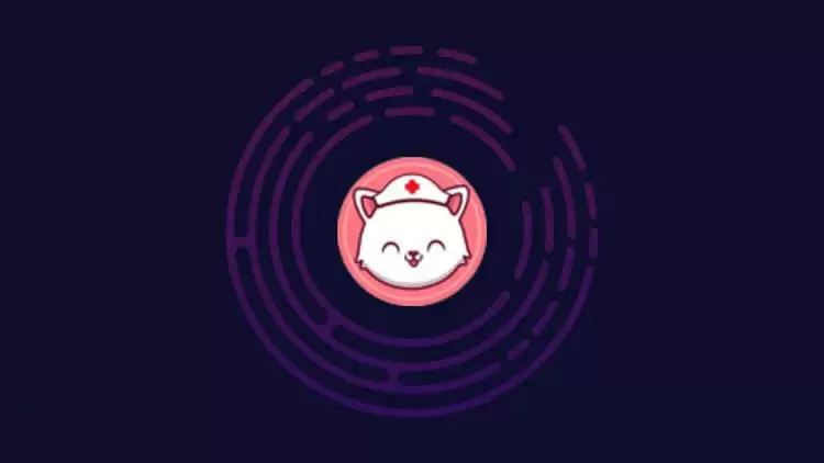 NCAT是什么币种?NCAT币官网总量和发行价介绍