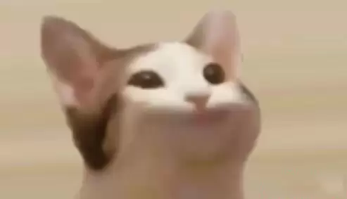 2025年5种最有潜力的猫主题Meme币的盘点