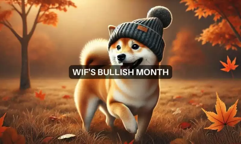 WIF币值得长期持有吗?未来潜力大吗?