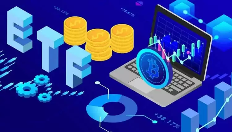 2025年各个领域的龙头币有哪些?