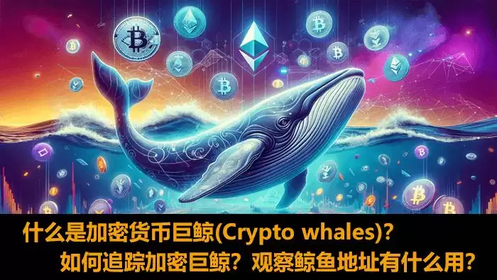 什么是加密巨鲸(Crypto whales)？巨鲸都有谁？观察巨鲸地址有什么用？