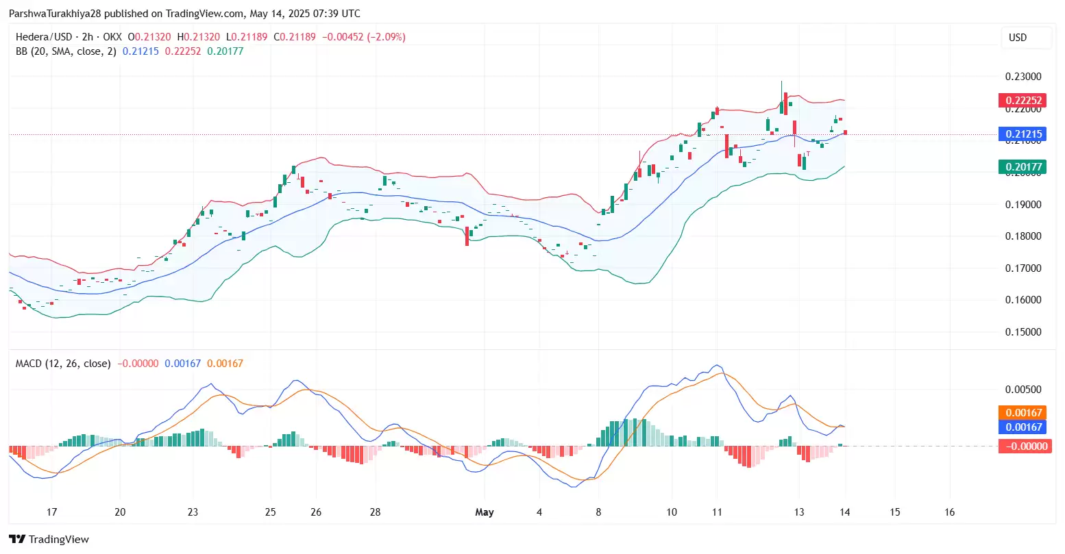 HBAR币前景如何?下个牛市能不能大涨?能涨到五块吗?