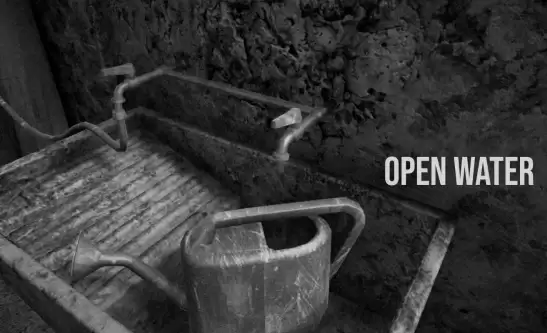 恐怖游戏《Horses》遭Steam平台下架 GOG发文力挺