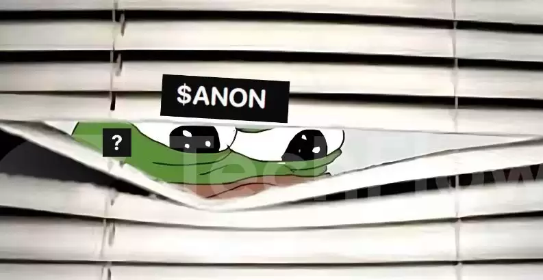 ANON币是什么?ANON币未来前景如何?