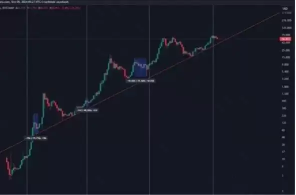 比特币现在是熊市还是牛市？会一定是看跌的吗？