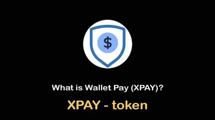 XPAY是什么币？XPAY币未来价格如何？还值得投资吗？