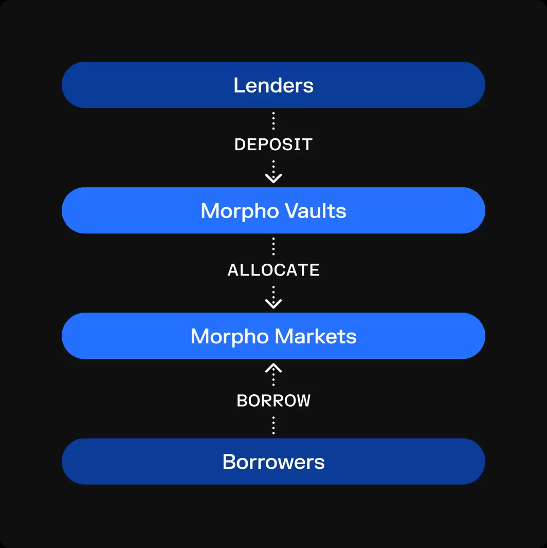 MORPHO币前景如何?值得投资吗?未来价值如何?