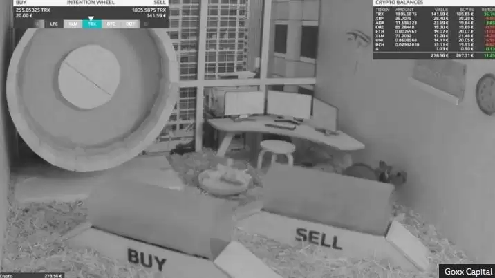 人们为什么玩仓鼠快打？虚拟承诺和真实利益