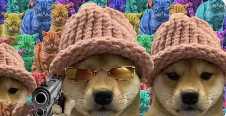 WIF币是公链吗?WIF/帽子狗币是山寨币吗?