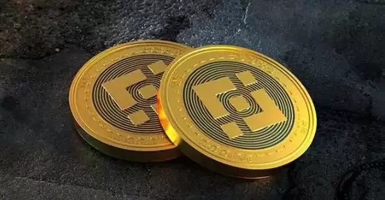 Ordinals创始人:是事实!Mempool创始人对比特币L2提出七大批评!