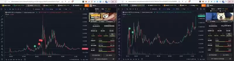 Neiro是什么币？复盘Neiro新币两天市值近五千万美元