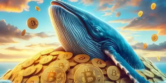 比特币已触底?分析师:Bitfinex与币安的借贷数据显示巨鲸借钱抄底