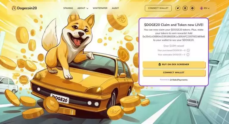 Dogecoin20(DOGE20)币是什么?DOGE20币未来前景如何?