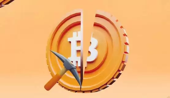 减半后牛市才开始吗?