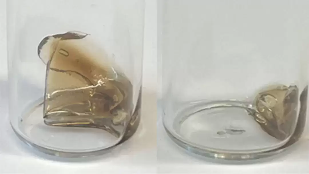 科学家开发可自然降解塑料：周期控制至年/月/日，结构设计借鉴 DNA 与蛋白质