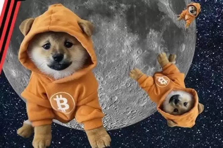 DOG币是什么？符⽂GOTOTHEMOON(DOG)币未来前景如何？