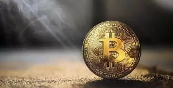 DIA币投资价值分析