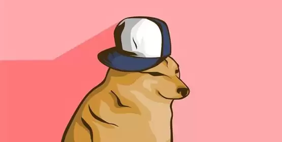 WIF币是哪个链上的?价值如何?