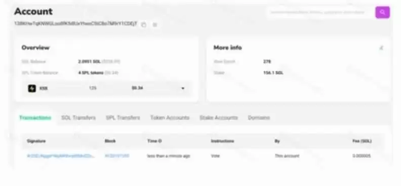 Solscan是什么公链?如何使用Solscan功能?