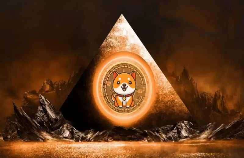 宝贝狗币未来如何？会成为下一个狗币吗？BabyDoge币价格预测