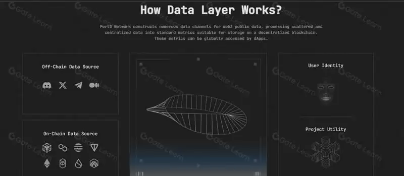 什么是Port3网络?Port3网络如何运作?