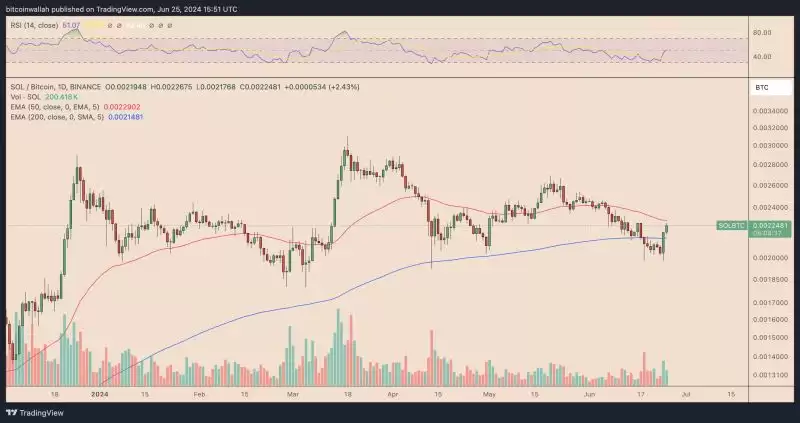 为什么Solana(SOL)价格今天突然上涨?详解SOL价格上涨原因
