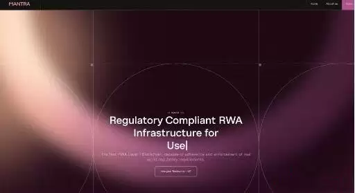 什么是现实世界资产(RWA)代币化以及2025年RWA项目盘点?