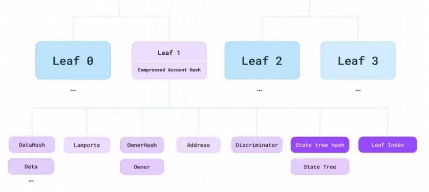 以太坊和Solana哪家ZK技术更强？哪家更值得投资？