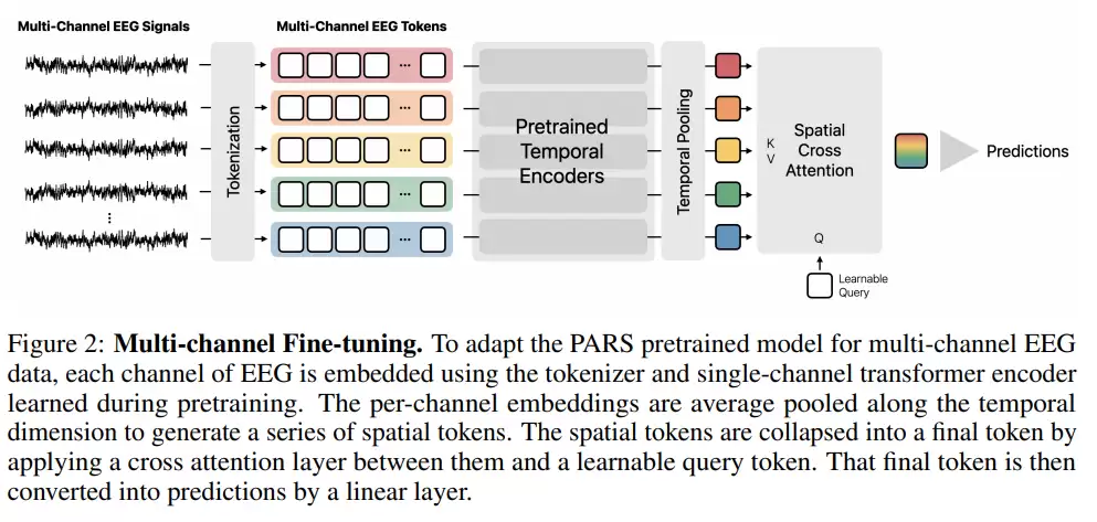AirPods 将变“读心”设备:苹果 AI 新研究暗示未来耳机可读取脑电波