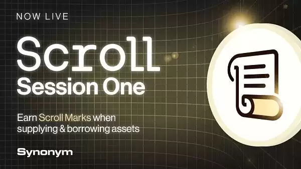 Synonym Finance 界面截图