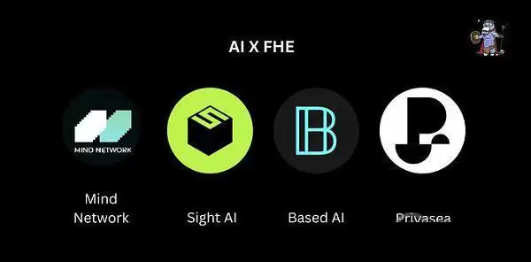 FHE全同态加密是什么?FHE生态项目盘点