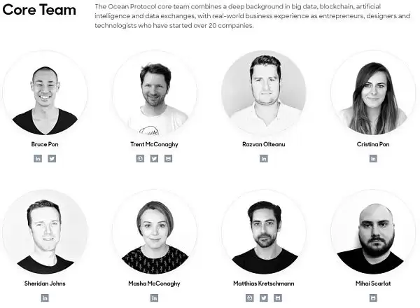 如何理解海洋协议Ocean Protocol一个去中心化的数据交易平台