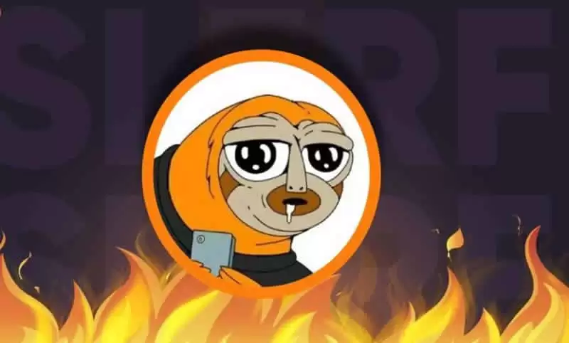 迷因币SLERF是什么?SLERF币价格走势分析及未来展望